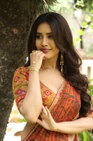 Nabha Natesh Interview Stills
